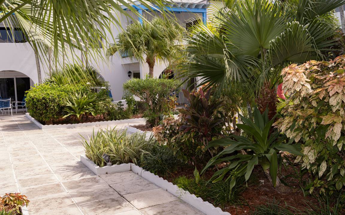 Photo of Others in Paradise Island