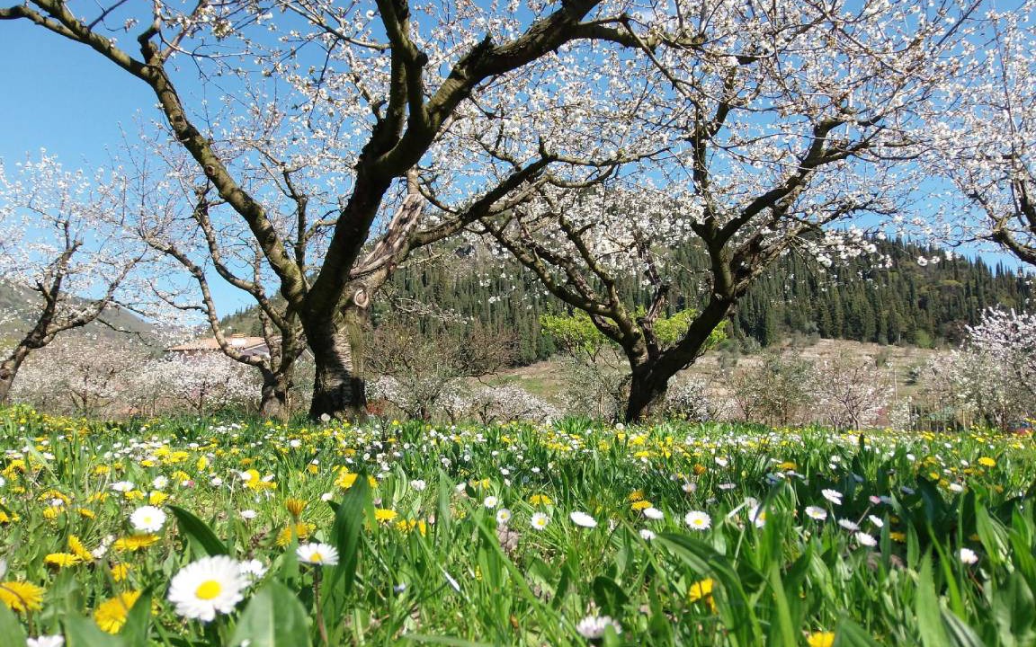 Photo of Others in Gargagnago di Valpolicella