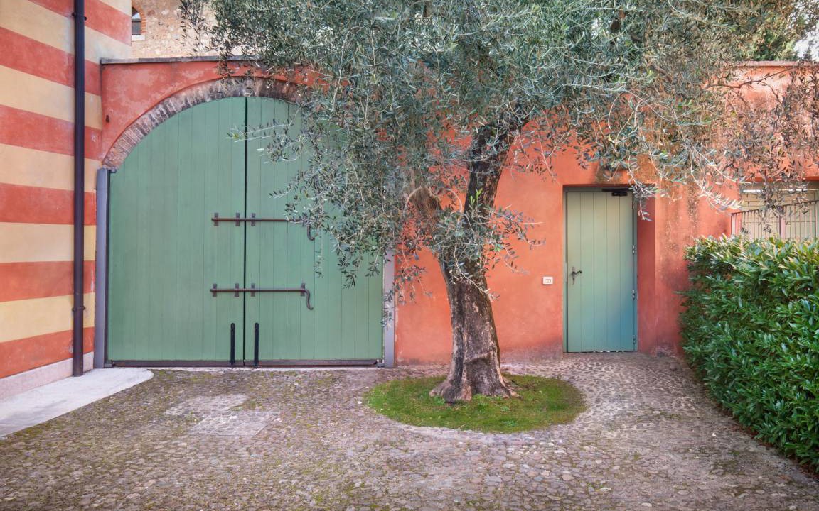 Photo of Others in Albisano