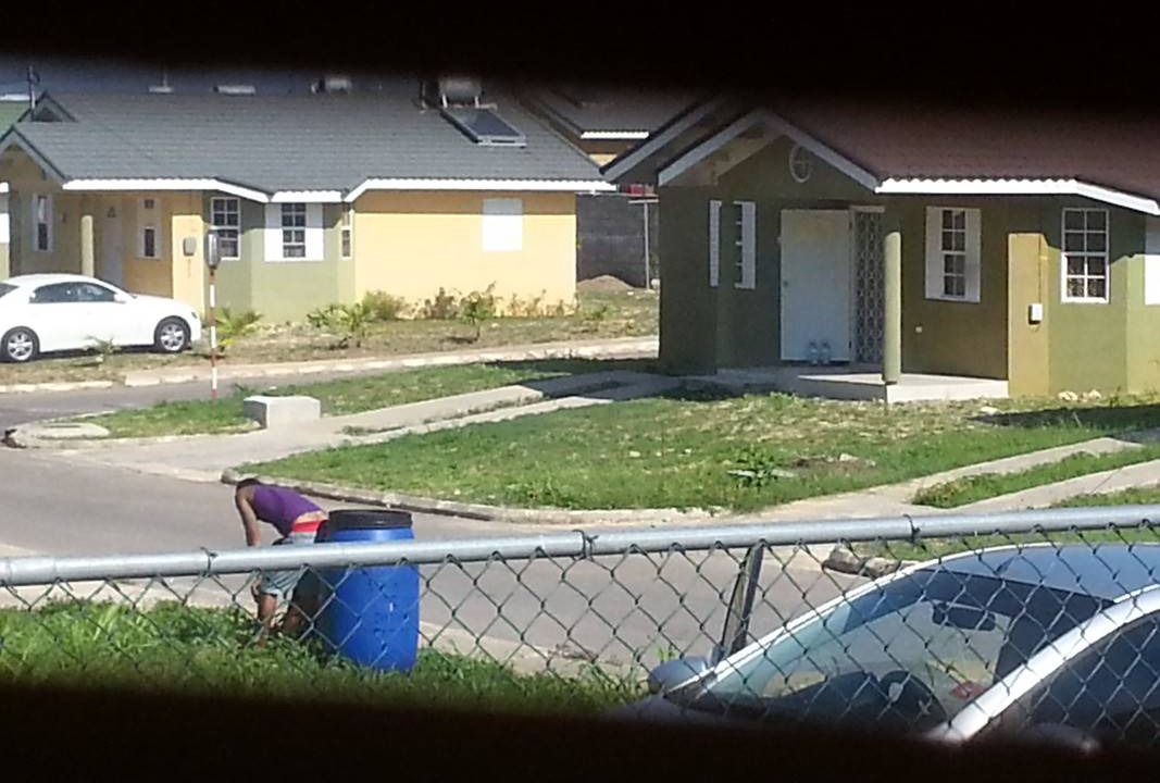 Photo of Others in Falmouth