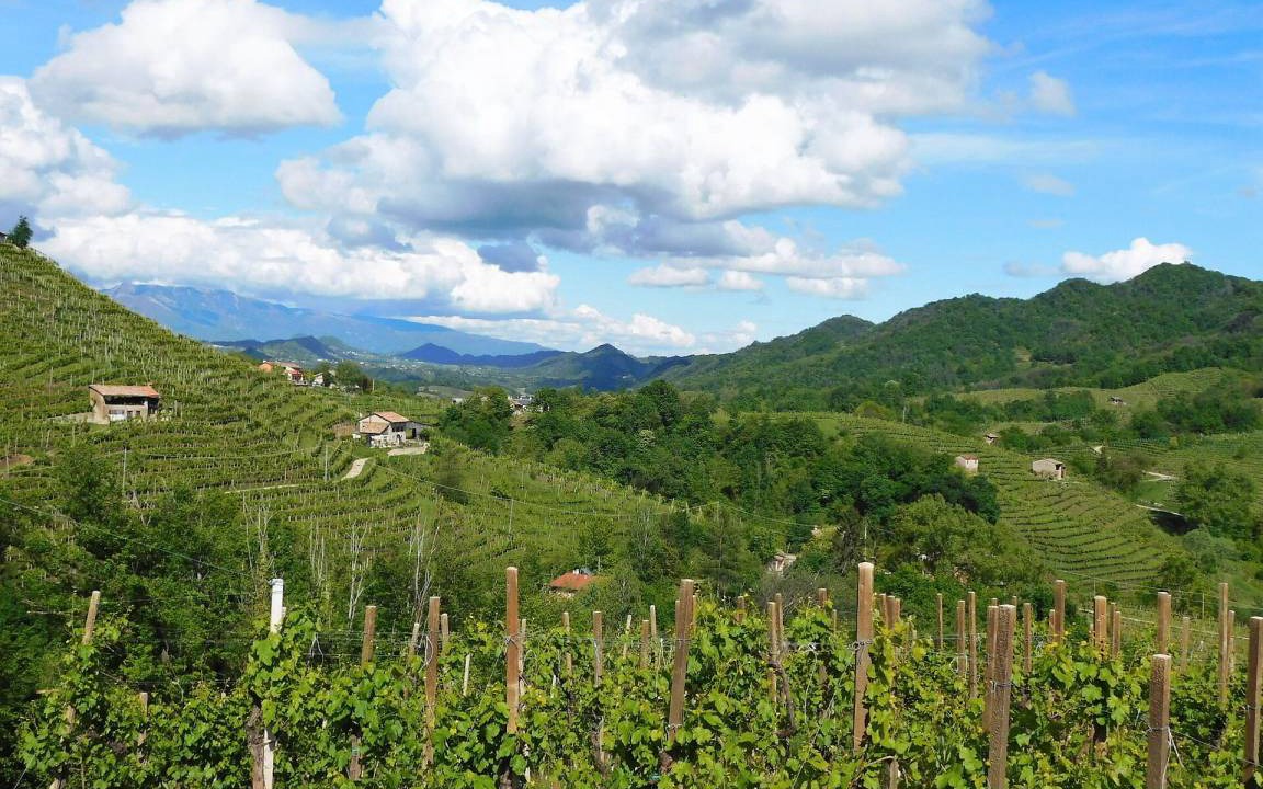 Photo of Others in Valdobbiadene