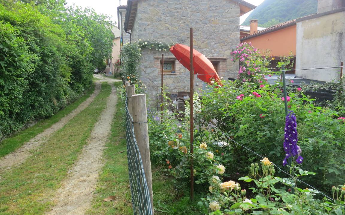 Photo of Others in Nogarolo