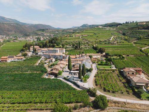 Photo of Others in Gargagnago di Valpolicella