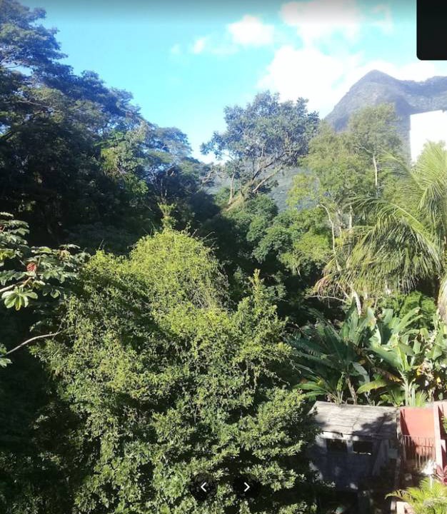 Photo of Outdoor in Tijuca