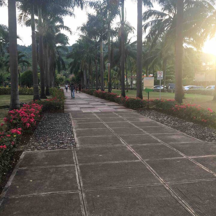 Photo of Others in Ocho Rios