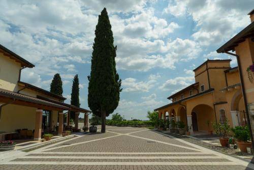 Photo of Others in Gargagnago di Valpolicella