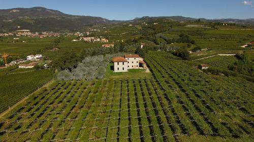 Photo of Others in Gargagnago di Valpolicella