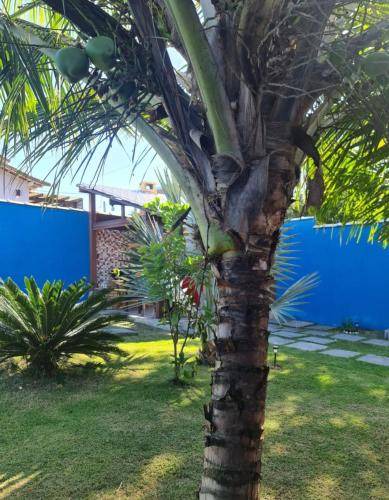 Photo of Others in Praia Rasa