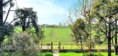 Photo of Others in Legnago