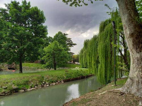 Photo of Others in Ponzano Veneto