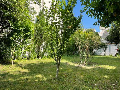 Photo of Others in La Courneuve