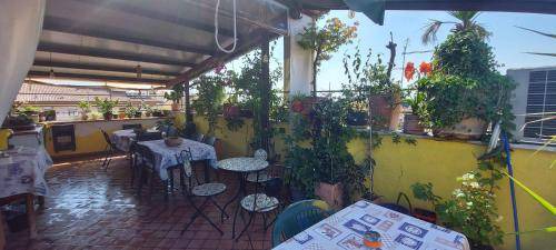 Photo of Others in Cittadella