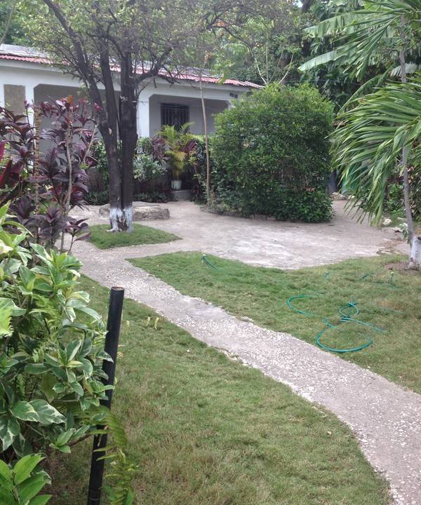 Photo of Others in Rollington Town