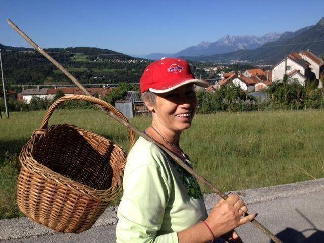 Photo of Others in Ponte nelle Alpi