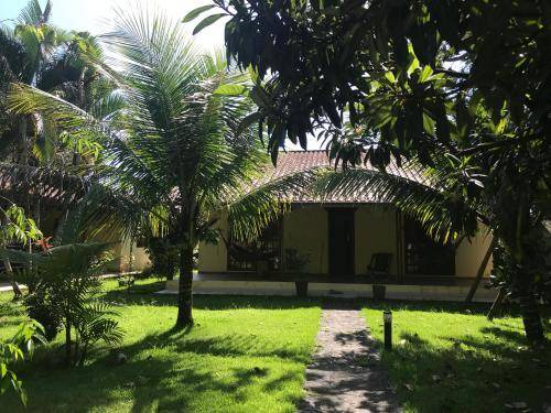 Photo of Others in Paraty