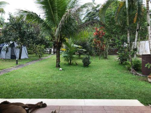 Photo of Others in Paraty
