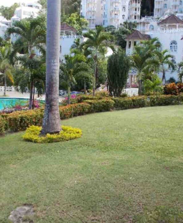 Photo of Others in Ocho Rios