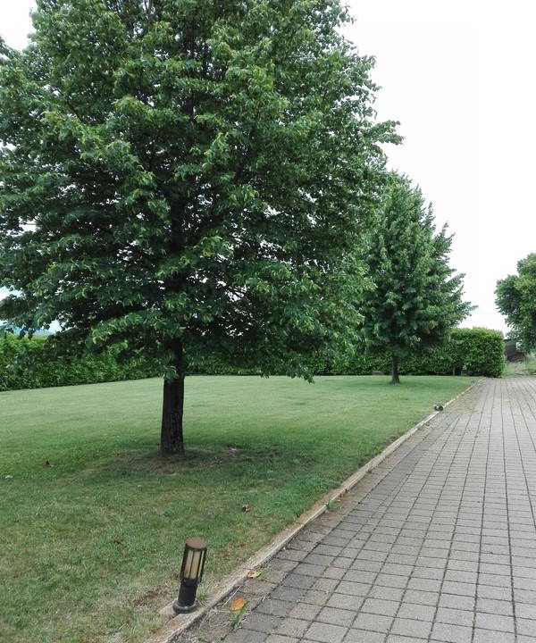 Photo of Outdoor in Albettone