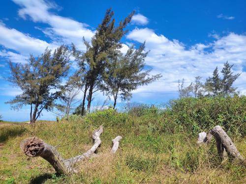 Photo of Others in Tucuns