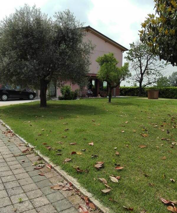 Photo of Others in Albettone