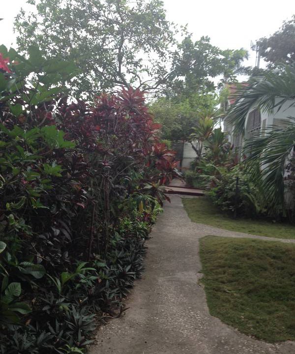 Photo of Others in Rollington Town