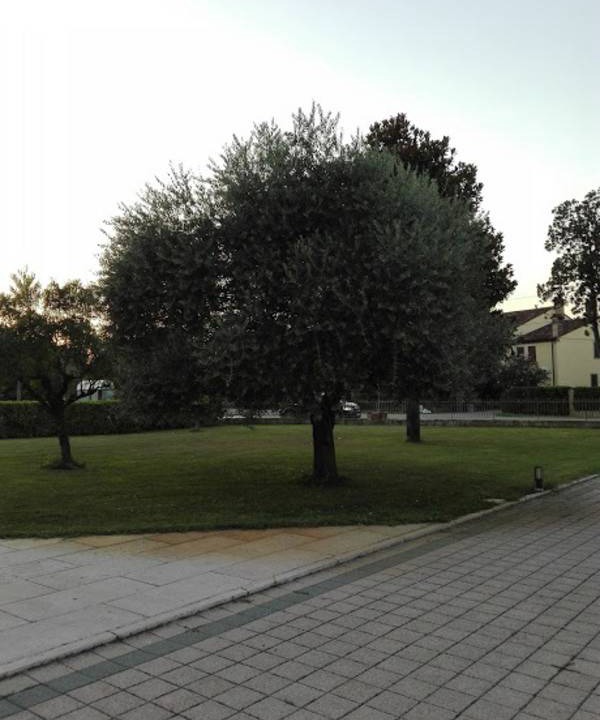 Photo of Others in Albettone