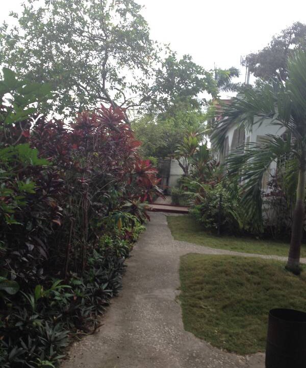 Photo of Others in Rollington Town