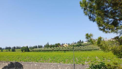 Photo of Others in San Martino Buon Albergo