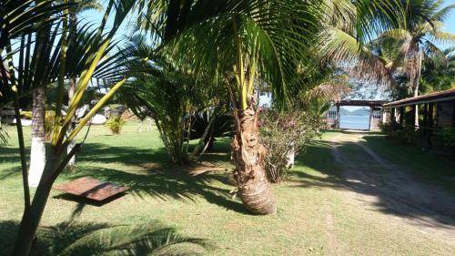 Photo of Others in Itinga