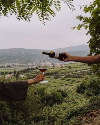 Photo of Others in Gargagnago di Valpolicella
