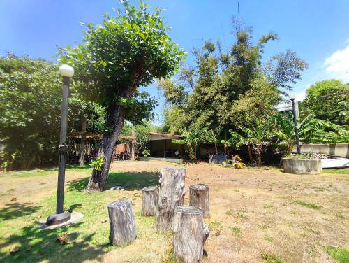 Photo of Others in Tucuns