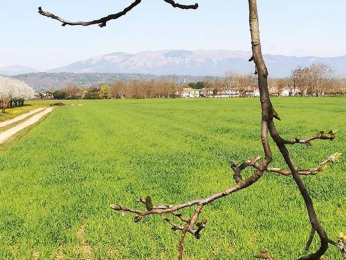 Photo of Others in Ponzano Veneto