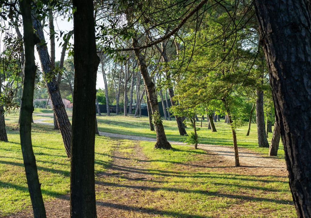 Photo of Outdoor in Rosolina