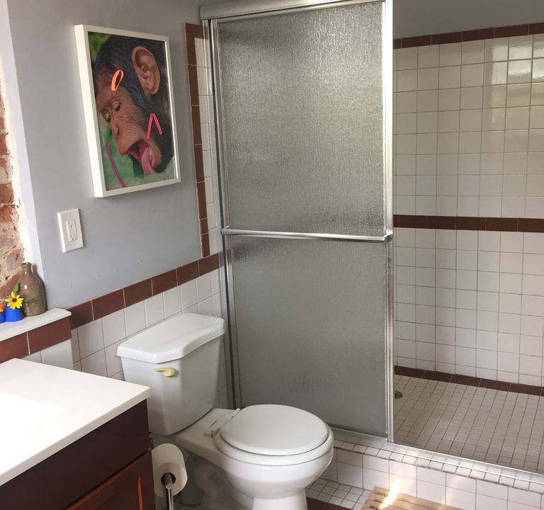 Photo of Bathroom in Clinton Hill
