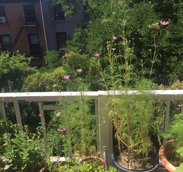 Photo of Others in Clinton Hill