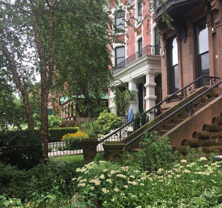 Photo of Buildings in Clinton Hill