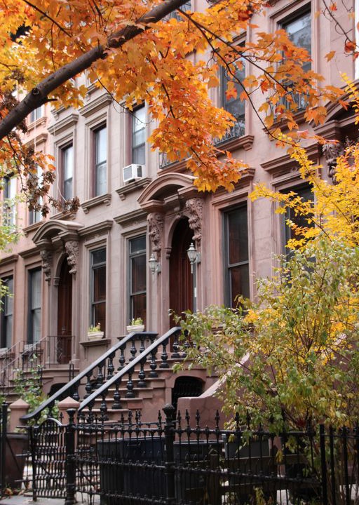 Photo of Buildings in Prospect Heights
