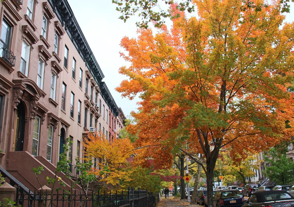 Photo of Buildings in Prospect Heights