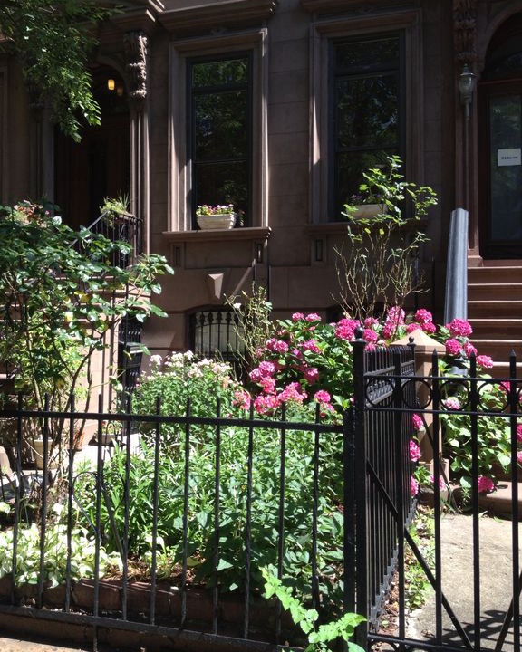 Photo of Buildings in Prospect Heights