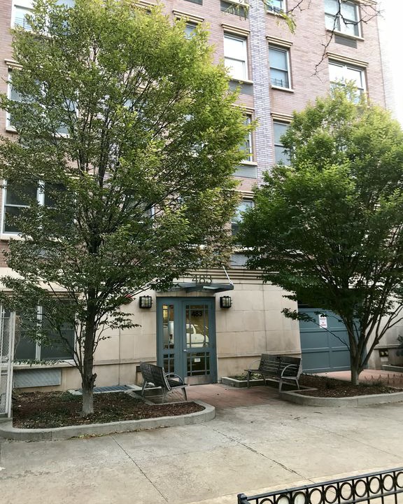 Photo of Buildings in Clinton Hill