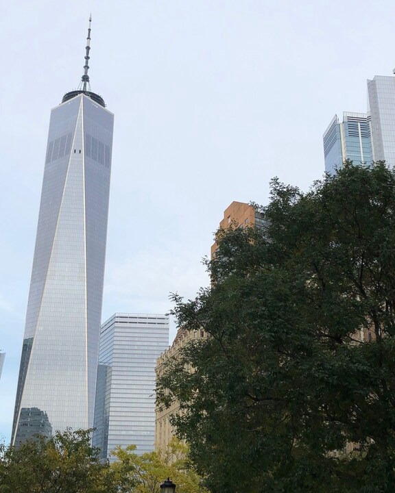 Photo of Buildings in Wingate