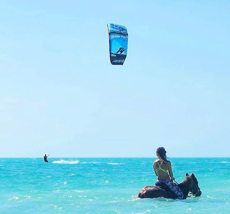 Photo of Human In Picture in Long Bay