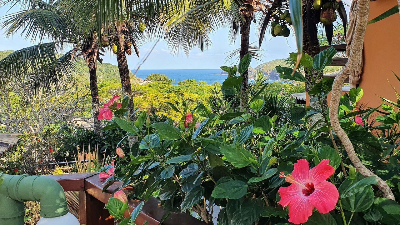 Photo of Outdoor in Brava