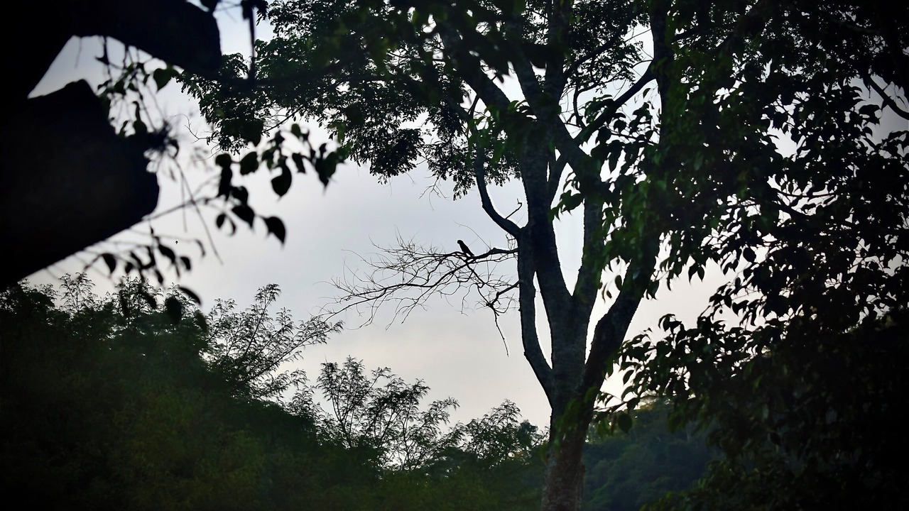 Photo of Outdoor in Miguel Pereira