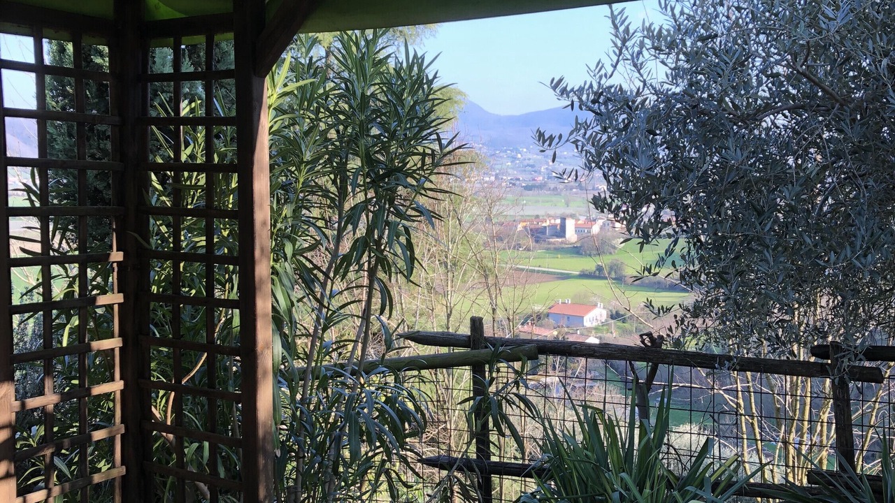 Photo of Outdoor in Albettone