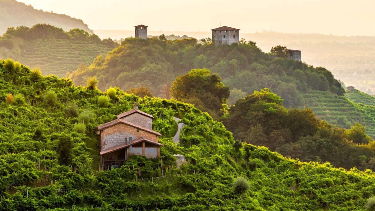 Photo of Others in Pieve di Soligo