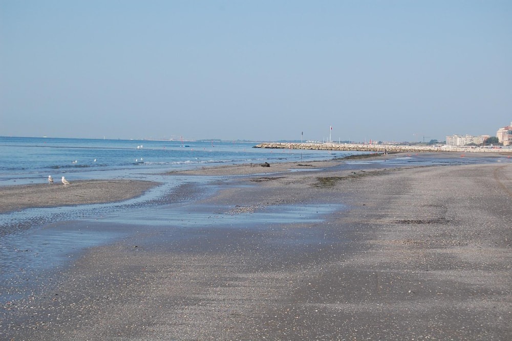 Photo of Others in Santa Maria in Stelle