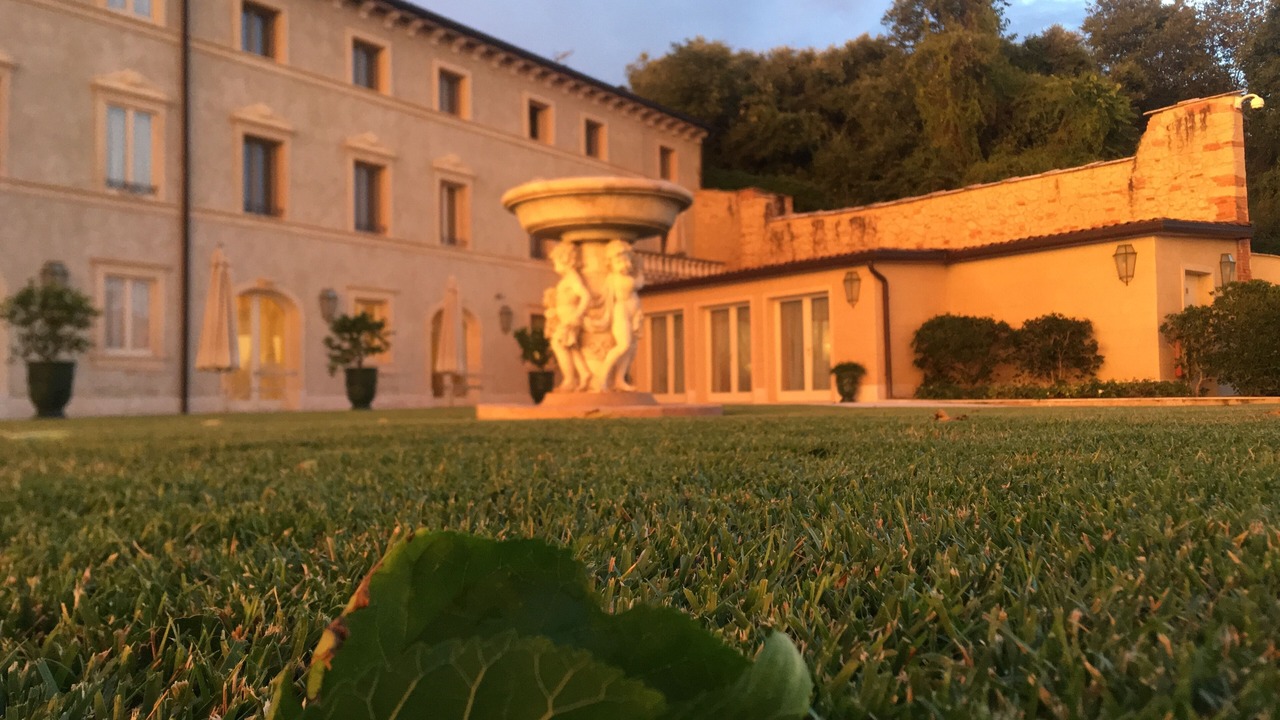 Photo of Outdoor in Borgo Trento