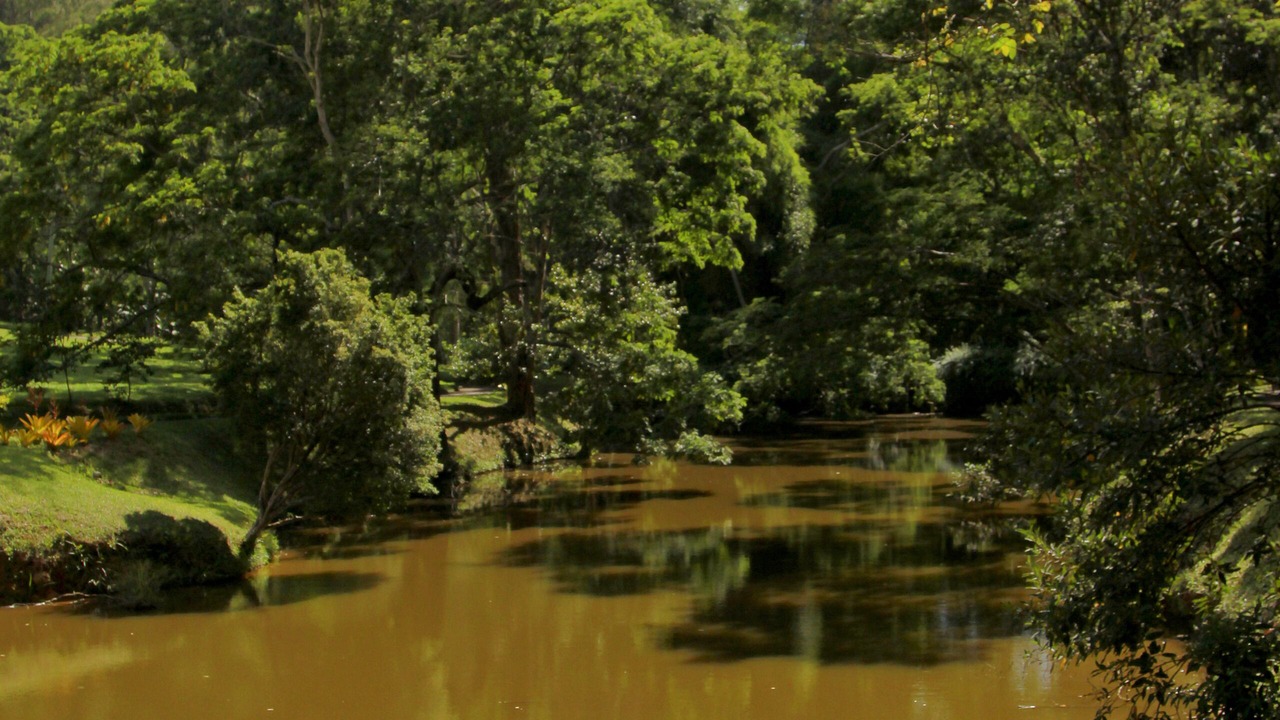 Photo of Outdoor in Petropolis