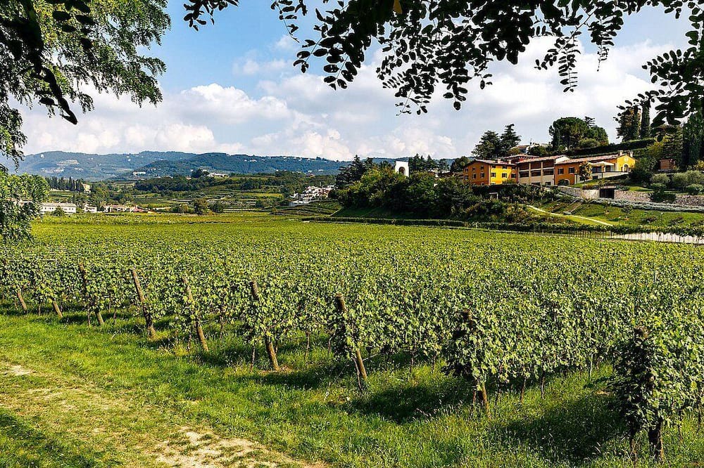Photo of Outdoor in Pedemonte